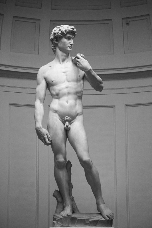 Statue of David - Florence Italy