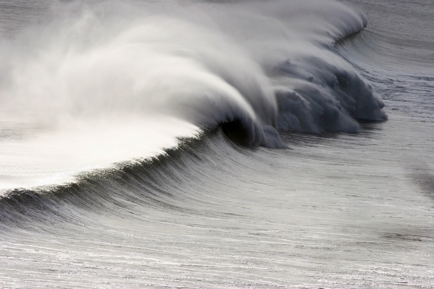 Muriwai's Wild Tasman Sea