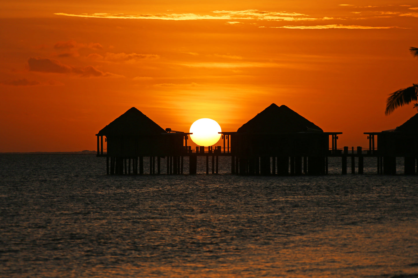 Setting Sun Samoa