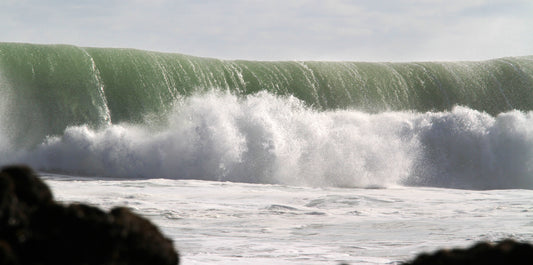 O'Neills Bay Closeout