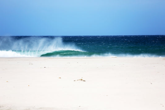 Great Barrier Island